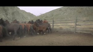 Ишкин Оглу  - Чонум, Тывам