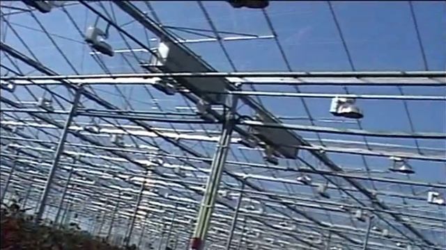 KGP Greenhouses производитель промышленных теплиц Венло