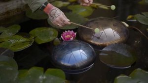 глюкофон в пруду 1