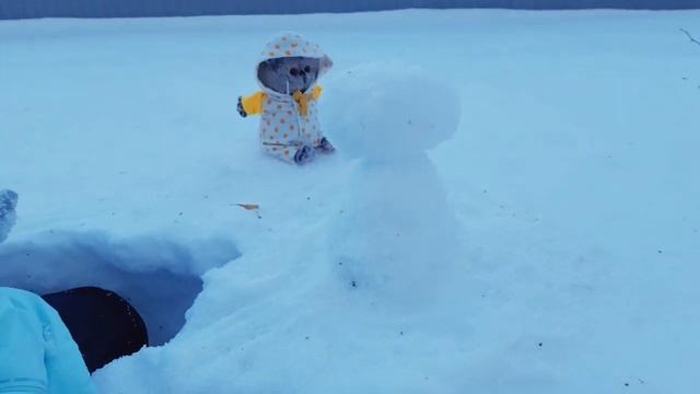 Лепим Басика из снега! смотреть онлайн
