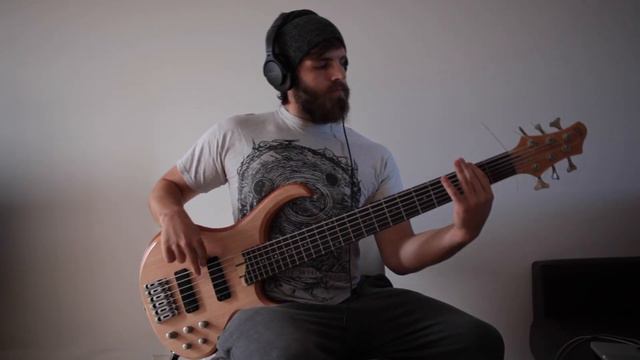 Coma Cluster Void - The Hollow Gaze (Bass Cover) смотреть онлайн