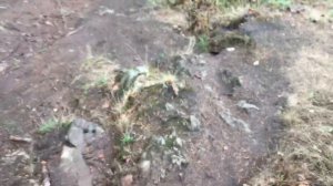 Протосаамский лабиринт, деревня Алхо, Карельская республика 💀