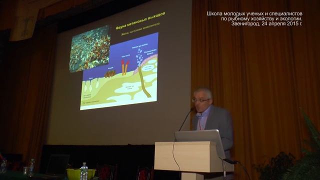 Жизнь на больших глубинах океана смотреть онлайн