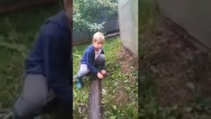 Как сделать самому ловушку для ящерицы. 🦎