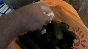 Как приготовить вкусные, мало сольные огурчики за одни сутки