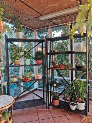 Зимний сад. Нюансы.