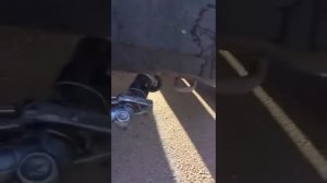 Заправка газом автомобиля  Топливодар в пистолет без переходника.Дагестан