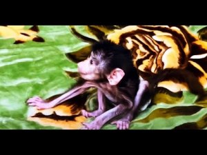 Люська ОТКАЗЫВАЕТСЯ идти спать, смотрит фильм про любовь