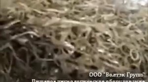 Слайсер нарезки морской капусты