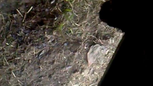 Как должен заводиться урал на одном цилиндре смотреть онлайн