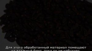 Гортензия древовидная: посадка и уход в открытом грунте