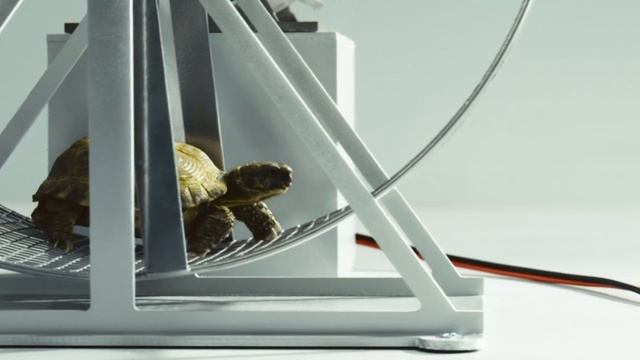 Светодиодные лампы gauss смотреть онлайн