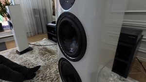 ELAC Vela FS 408 сравнение усилителей Gold Note is-1000, Mark Levinson 5805, Naim NDX 2, 202+nap 20