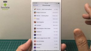 How to Clean Up iCloud Storage Space or Data in iPhone, iPad | Techie Prashant | HINDI