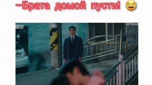 Пусти брата домой! | дорама: мой сосед кумихо(пугающее сожительство) 😂