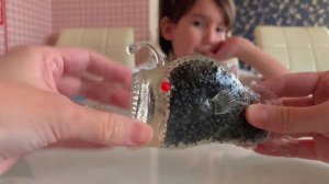 Морские бестии деагостини (морской черт, кальмар ? , тигровая акула ?)