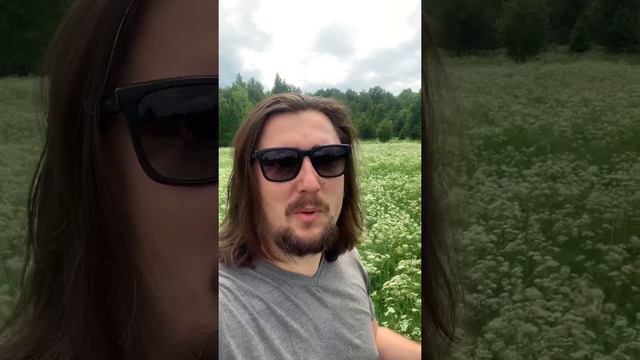 ОБЗОР ЗАГОРОДНОЙ НЕДВИЖИМОСТИ СПБ // КУПИТЬ ЗЕМЕЛЬНЫЙ УЧАСТОК смотреть онлайн