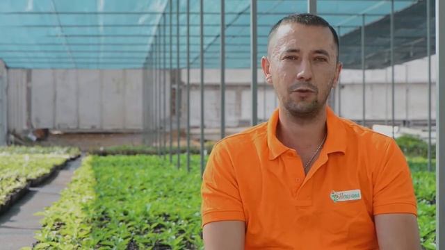 Озтыв Интернет-магазина «Твоя Яскрава клумба», нашего клиента! смотреть онлайн