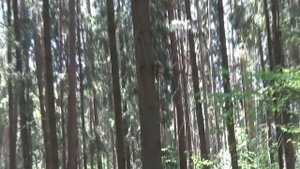 От кожных болезней..всем..(Из серии ритуалов 'Безмолвная магия')..
