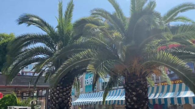 ВЛОГ⛵️? День со мной? Море? Центральный рынок Адлера?? Вкусный ужин? #отпускнаморе #сочиадлер