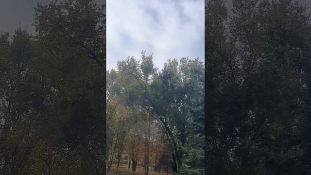 Натали, стихи свои нам подари и искру Счастья в сердце нам зажги смотреть онлайн