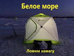 Рыбалка на белом море. Ловим навагу.