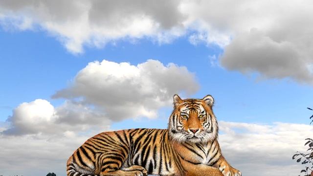 Год какого животного 2022 по восточному календарю.