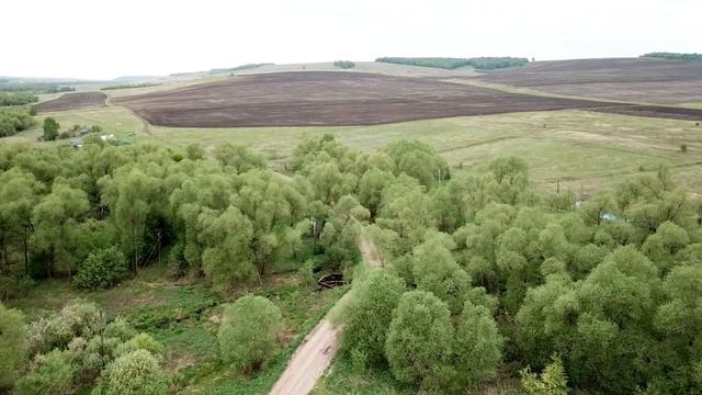 Пашкино смотреть онлайн