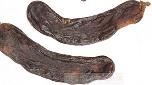 Кэроб (семена рожкового дерева)