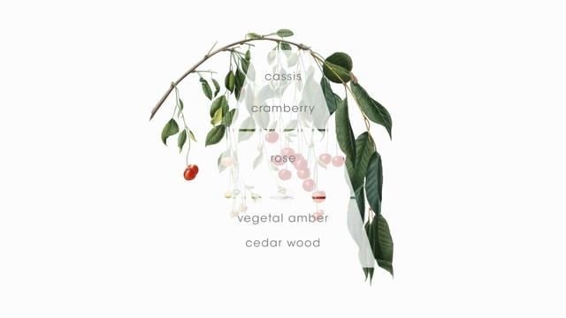 Аромат для дома CULTI MILANO, ERA в бутике Монпансье в Тюмени смотреть онлайн