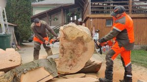 Stihl MS 881 vs. Stihl MS 881 ??