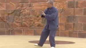 Чжань Бо. Тайцзицюань стиль У. Демонстрация формы.