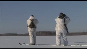 Зимняя охота на тетерева и лису в Ивановской области
