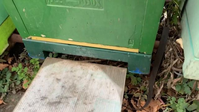 Очередная проверка после сублимации смотреть онлайн