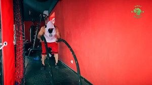 Отзыв на Эпимедиумную пасту от тренера по бодибилдингу.