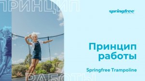 Безопасный батут Спрингфри без пружин. Принцип работы.
