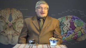 С. Савельев. Как возникают революции.mp4