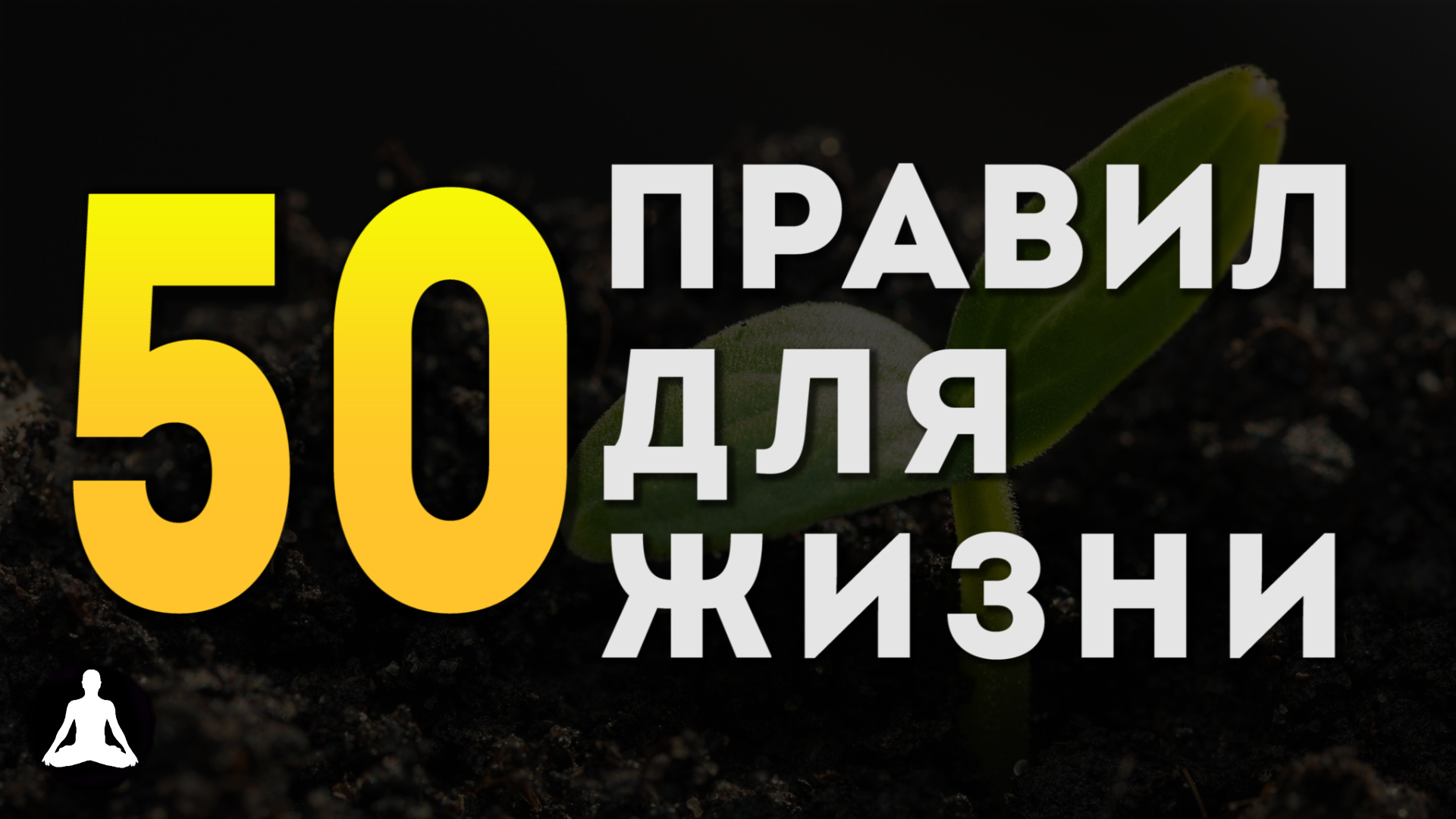Кодекс Поведения Стоиков | Райан Холидей | Стоицизм