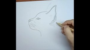 Как нарисовать рысь \\ Человечная рысь \\  Очередной необычный рисунок