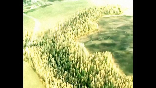 Максим Трошин Журавли (восстановлено с лучшим качеством) смотреть онлайн