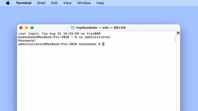 Useful macOS network terminal commands – How to flush the DNS cache of Big Sur смотреть онлайн