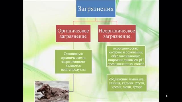 Химия и экология