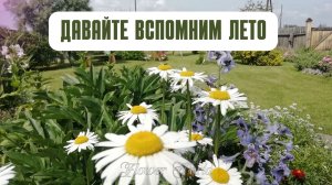 Давайте вспомним ЛЕТО. Ностальгия по летним краскам.??