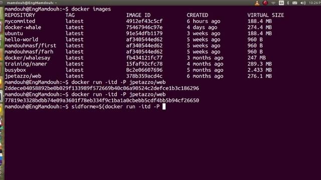 Felexable Terminal With Docker смотреть онлайн