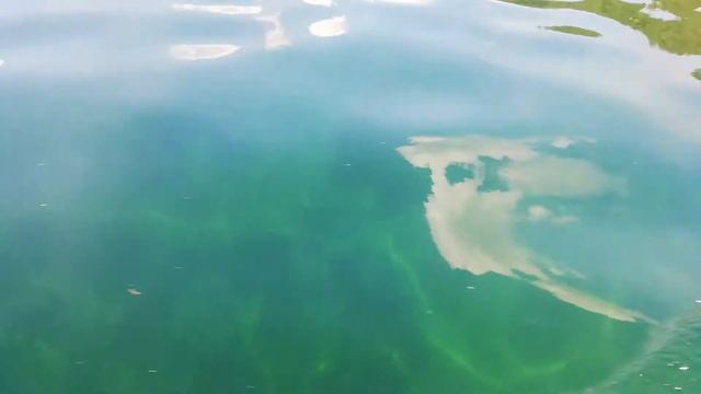 Райский уголок #тургояк озеро с удивительно чистой водой. смотреть онлайн