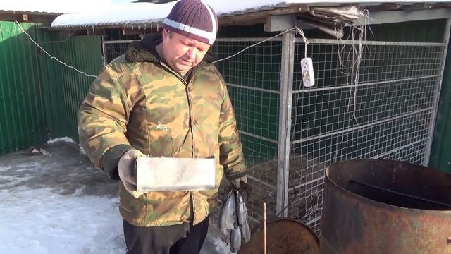 Копченая скумбрия в самодельной коптильне из бочки