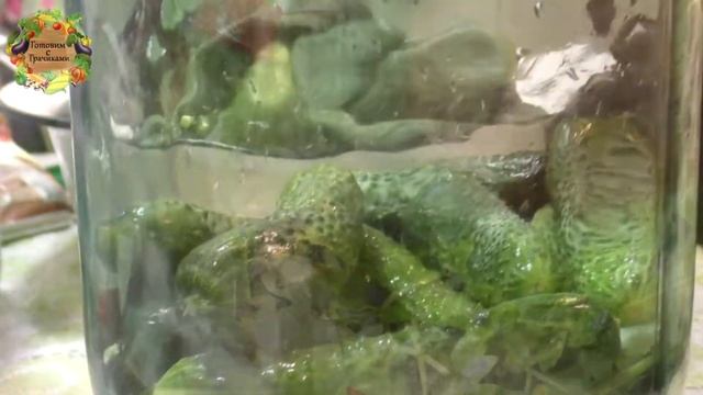 Рецепт Квашеных Огурцов в Банках как из Бочки смотреть онлайн