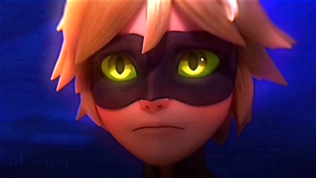 chat noir | shape of you edit смотреть онлайн