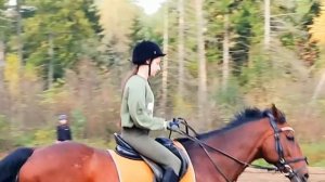 Конный клип Just Like Fire - Пинк /Конный клуб Лошади Добра/ #конныйклип #лошади #лошадидобра