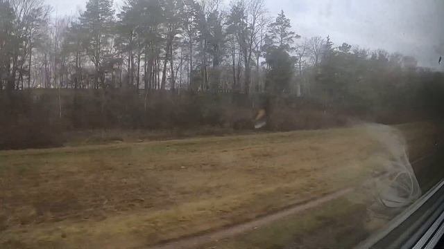 #брянскаяобласть. Дорога в Брест через Гомель. Часть Вторая ?? приезд в Гомель.